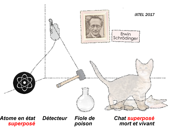 Chat de Schrodinger